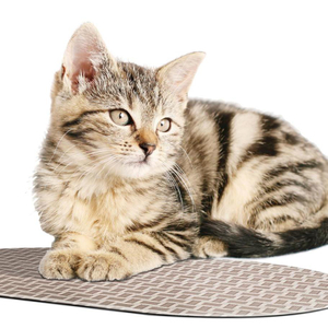 Printed Foam Pet Mat