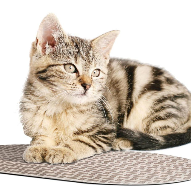 Printed Foam Pet Mat