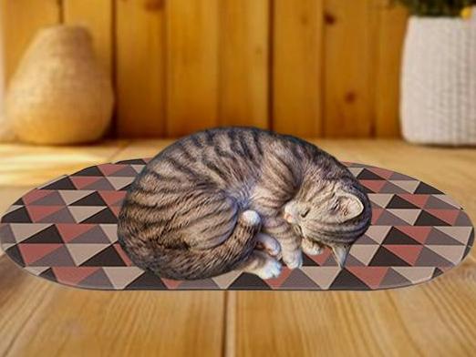 Pet Sleeping & Resting Spot