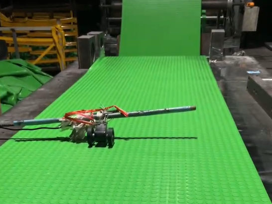 Large Coin Vinyl Flooring Roll-green