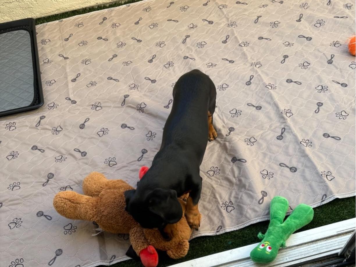 Transitional or Semi-Outdoor Spaces