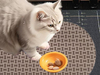 Printed Foam Pet Mat