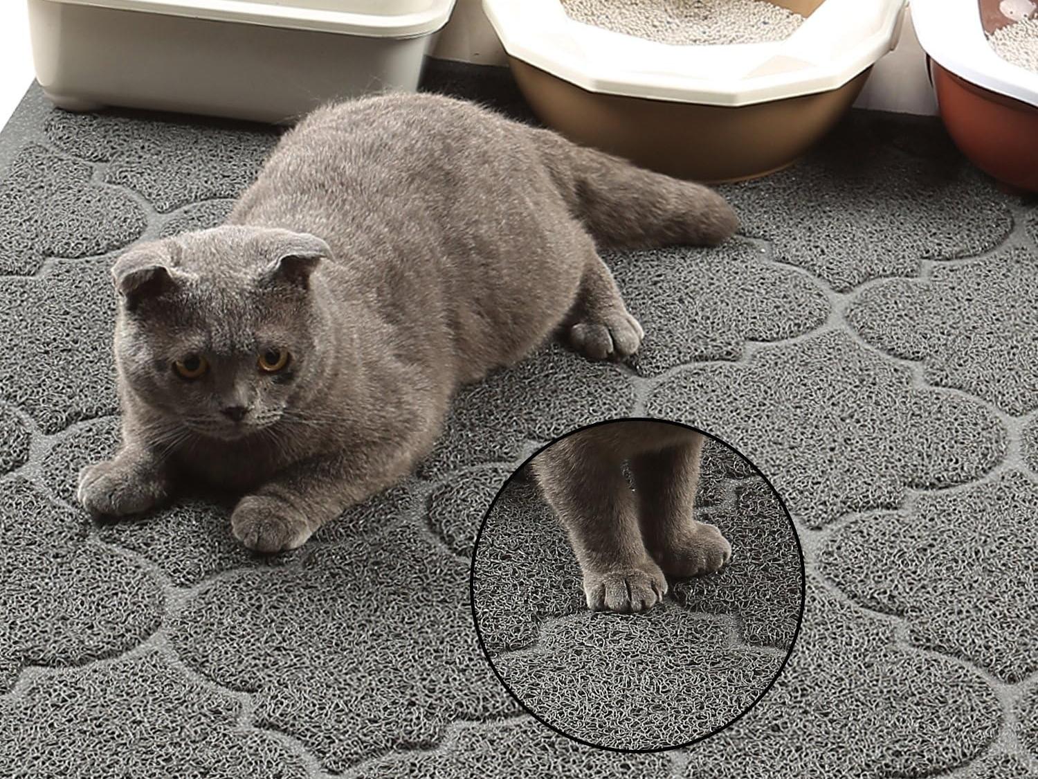 Comfort and Behavioral Benefit