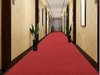 Double Stripe PVC Entrance Mat