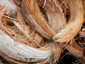 100% Natural Coconut Fiber