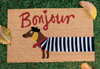 Printed PVC Backed Coir Mat