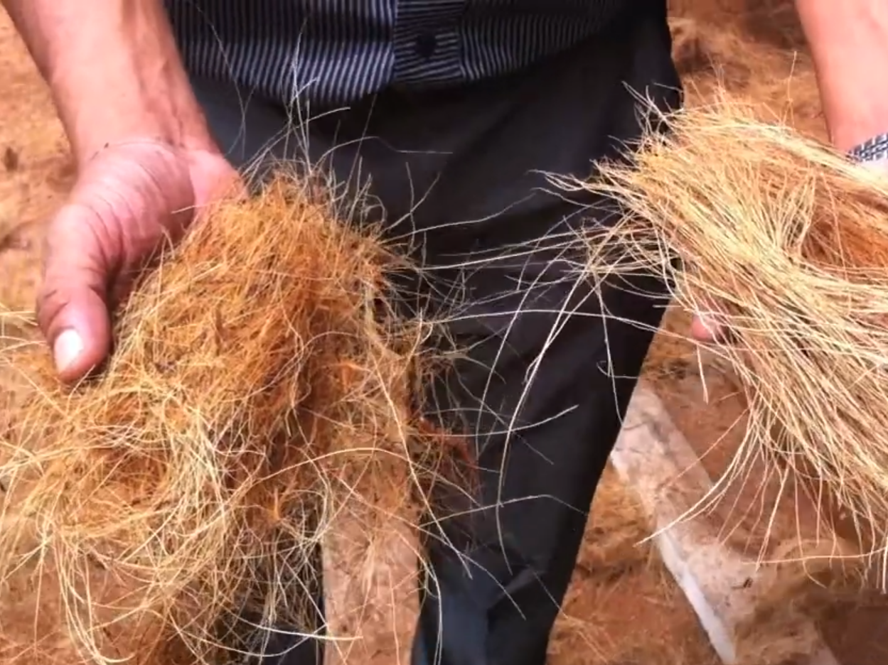 100% Natural Coconut Fiber